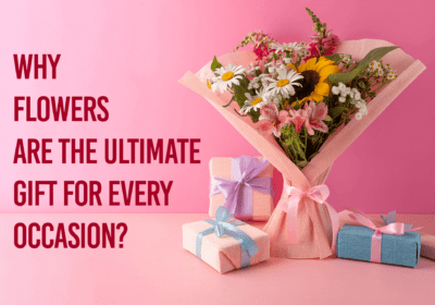The Top 10 Best Fresh Flowers India - Why Flowers Are The Ultimate Gift For Every Occasion?