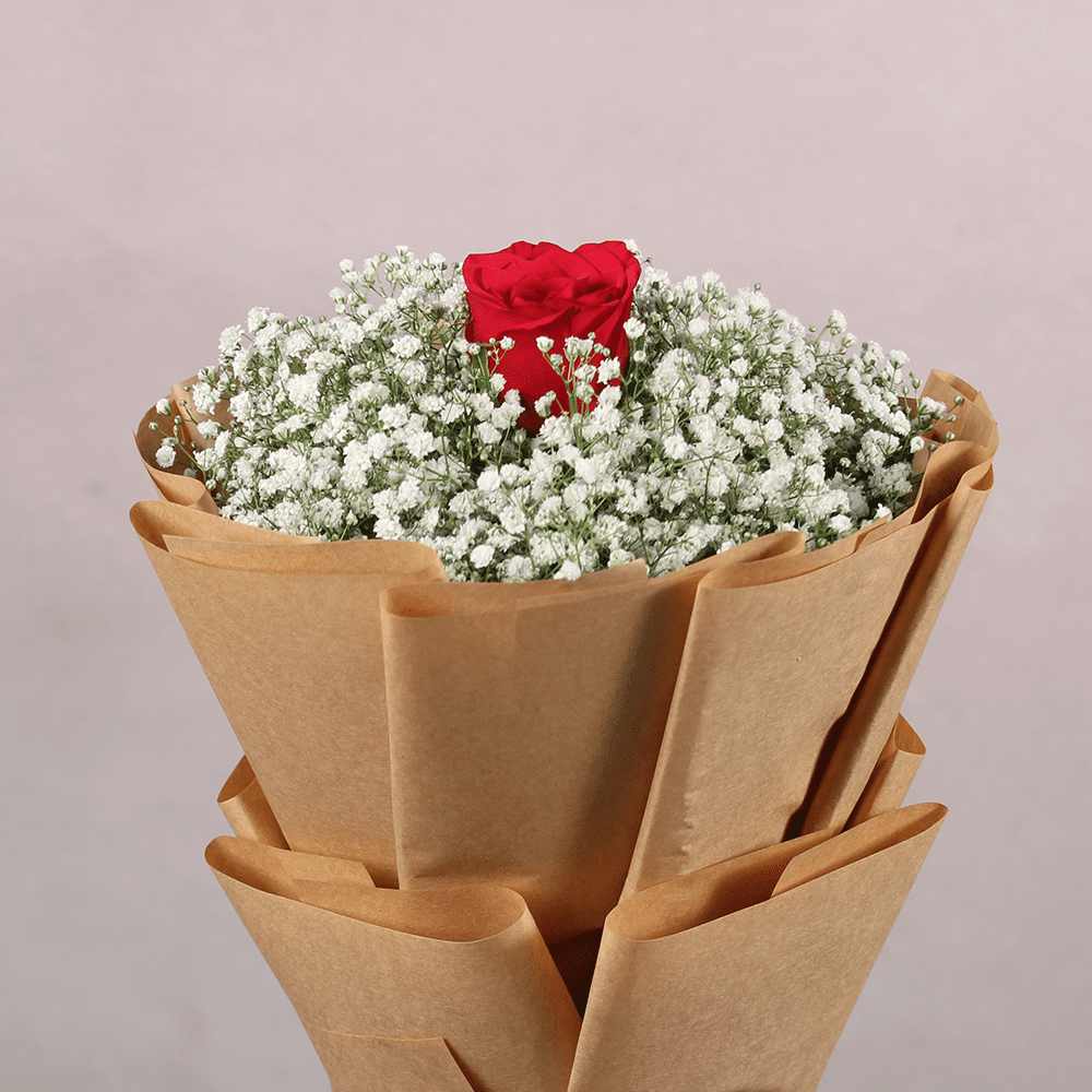 Baby's Breath Bouquet Order Baby's Breath Bouquet Online - Juneflowers.com