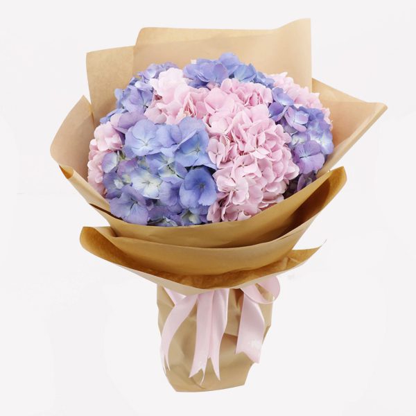 Beautiful Hydrangea Bouquet Beautiful Hydrangea Bouquet JuneFlowers.com