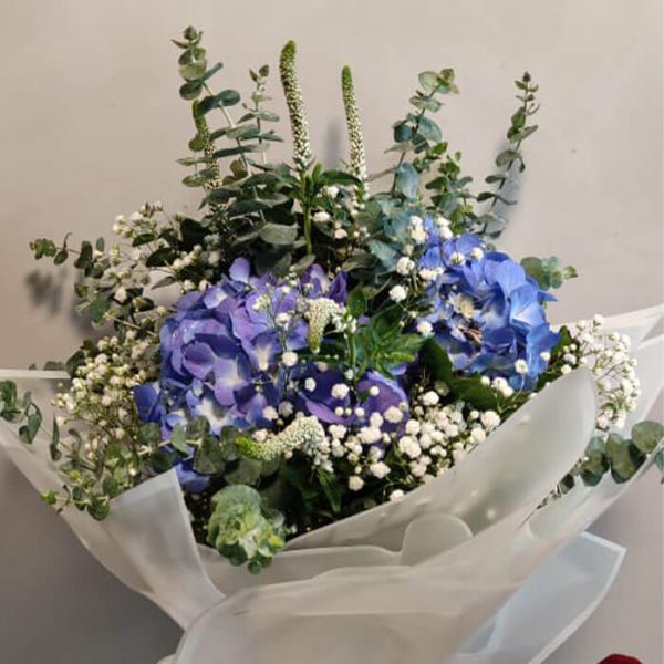 Cool Breeze Cool Breeze- Order sorry flowers Online send to India | Juneflowers.com
