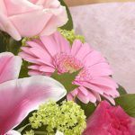Deep Affection Ger