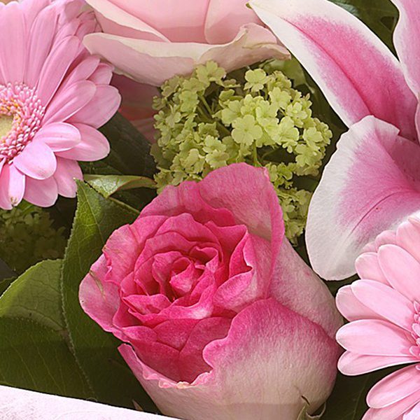 Deep Affection SA Deep affection JuneFlowers.com