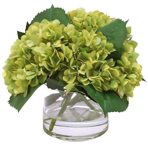 Green Hydrangea in Cylinder Vase Green Hydrangea send a bouquet of flowers in Bangalore | hydrangea bouquet