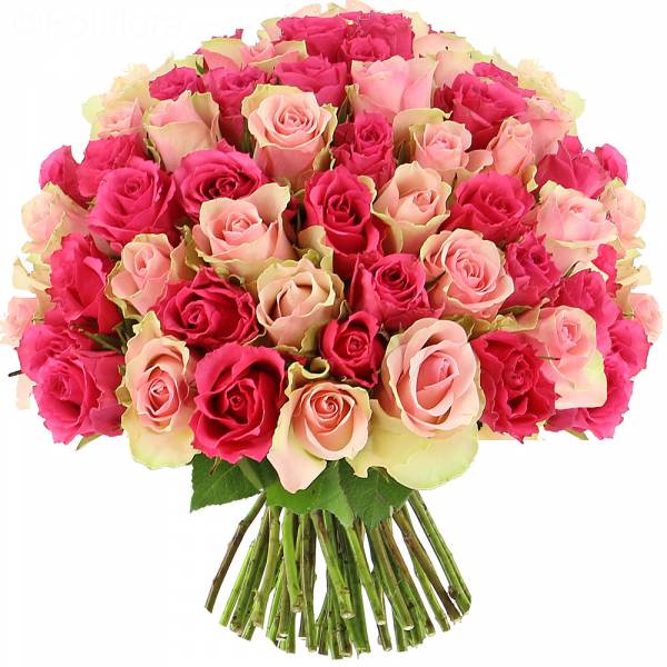 Lavish Pink 50 Roses for Mum Send a Bouquet of Flowers in Bangalore | Lavish Pink 50 Roses for Mum | Online Rose Bouquet Delivery | JF