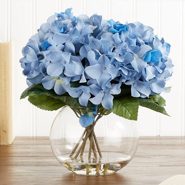 Light Blue Hydrangea in Fish Bowl Apology Flowers - Soothing Hydrangea in BlueFlowers | Order Now JuneFlowers