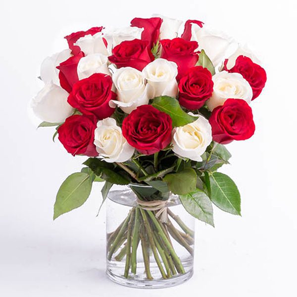 Lovely Red and White Roses Romantic red and white roses in a cylindrical vase from JuneFlowers.com