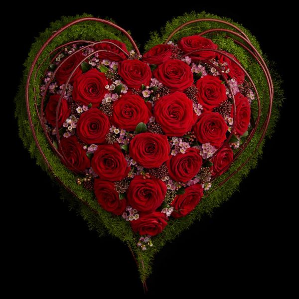 My Heart Only My Heart Only | Flower Delivery Bangalore Online | Order Now at JuneFlowers.com