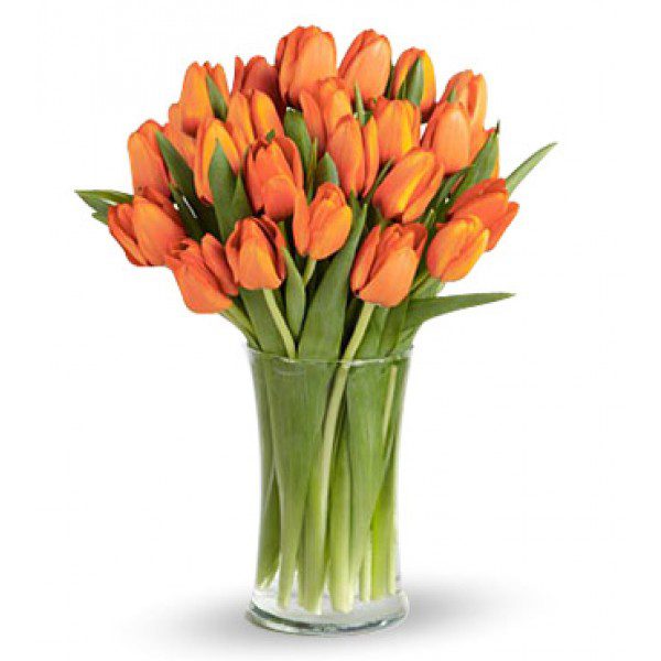 Orange Tulips Orange Tulip | Tulips Flowers Delivery | Order Now at June flowers.com