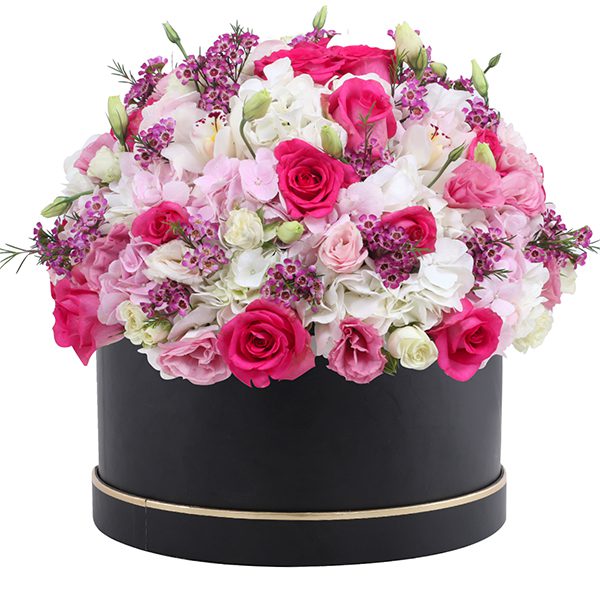 Signature Box of Hydrangea and Roses Buy Flowers in Mumbai | Box of Hydrangea and Rose Bouquet | Order Now at JF