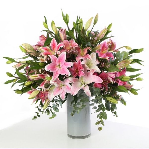 25e466ce-8ebe-4ada-a16f-8b9fa430b9a1 Pink beauty | Online pink lily Delivery in Bangalore | Juneflowers.com