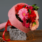 Exotic Gerberas