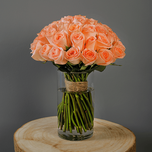 Peach princess Peach rose in glass vase