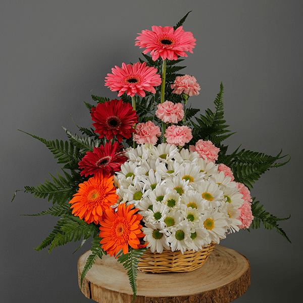 Precious Love floral shops near me | Send Best flowers online | Juneflowers.com