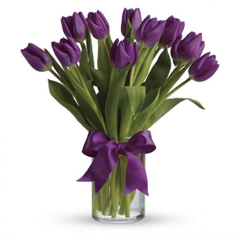 purple-tulip-in-vase-arrangement Gorgeous purple tulips hand-tied with a purple ribbon and placed in a cylindrical glass vase