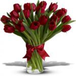 Beautiful red tulip vase - hand-tied with a red ribbon and placed in a cylindrical glass vase