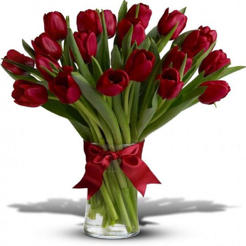 red-tulip-flower-vase Beautiful red tulip vase - hand-tied with a red ribbon and placed in a cylindrical glass vase