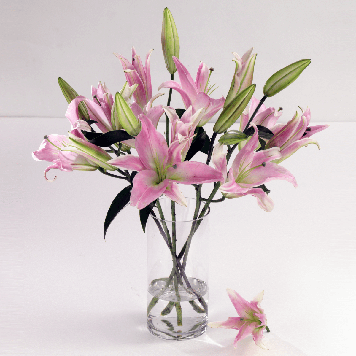 Sweet Lilies Mother's Day Lilies | Online Florist Delivery Mumbai | JuneFlowers.com