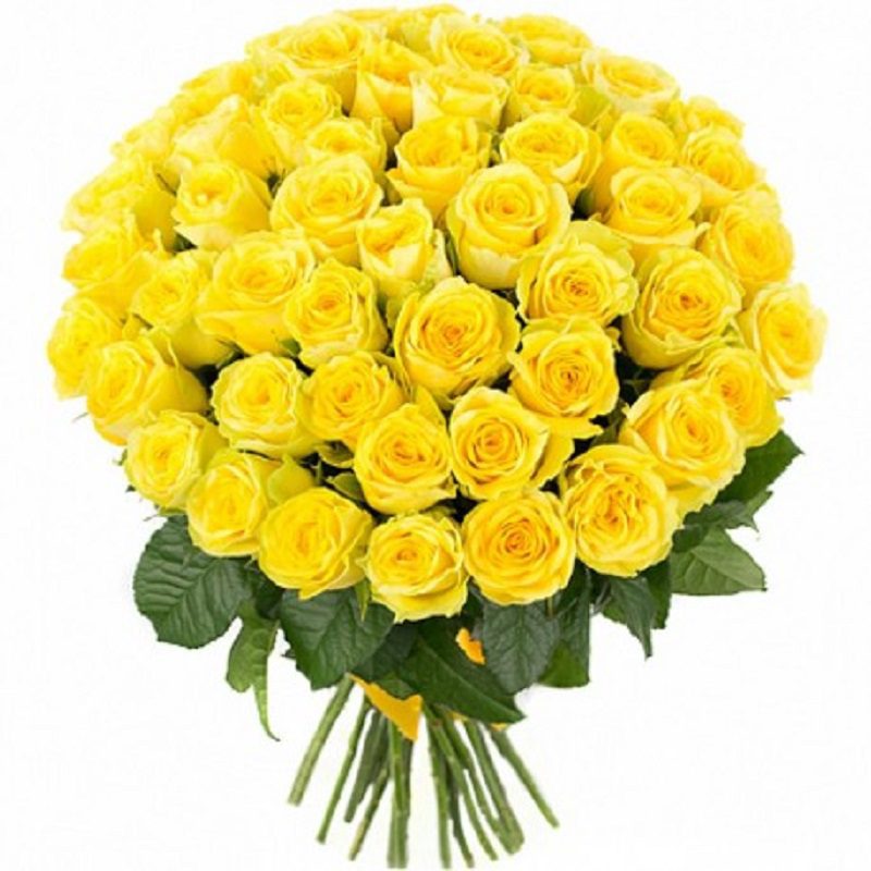 Yellow Love Yellow Love | Roses Delivery | Order Now at JuneFlowers.com