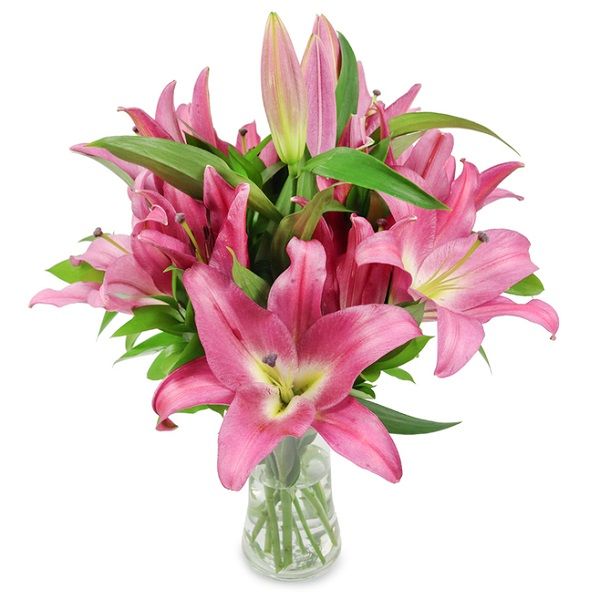 ssssass VIBRANT DELIGHT| Online pink lily Delivery in Bangalore |JuneFlowers.com