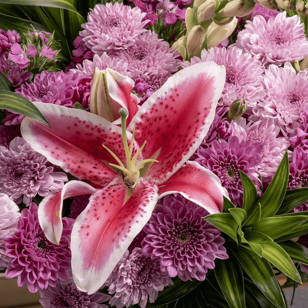 Flower subscription1 Flower Subscription - Special Fragrance