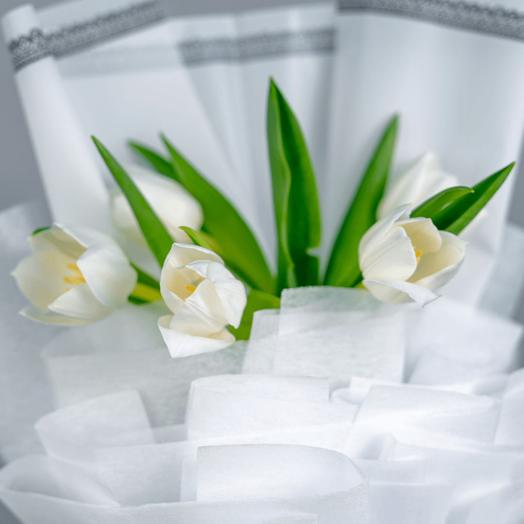 Single Tulip2 Single Tulips - Single Tulip Flowers delivery | Juneflowers.com