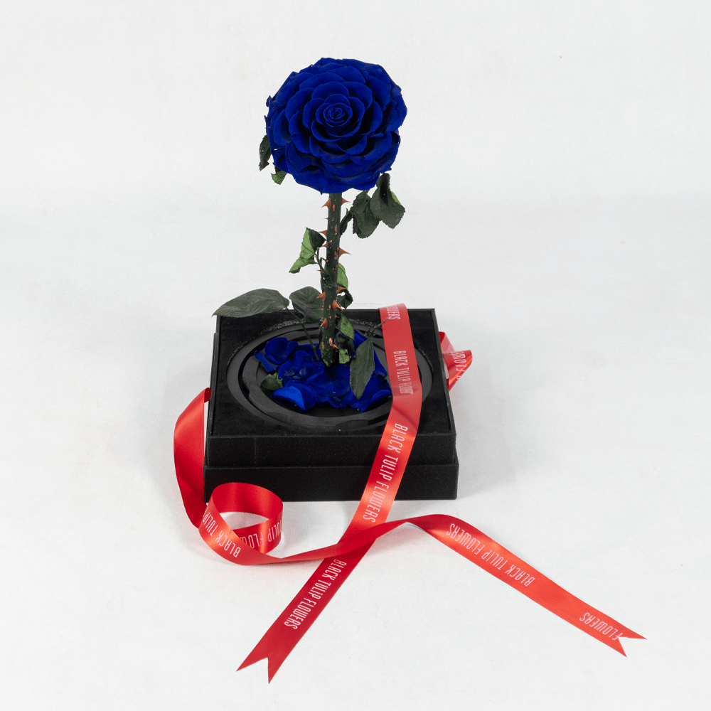 Bluebird's Melody - Preserved Rose Bluebird's Melody - Preserved Rose : Explore Preserved Roses in Bangalore | Order Now at June Flowers