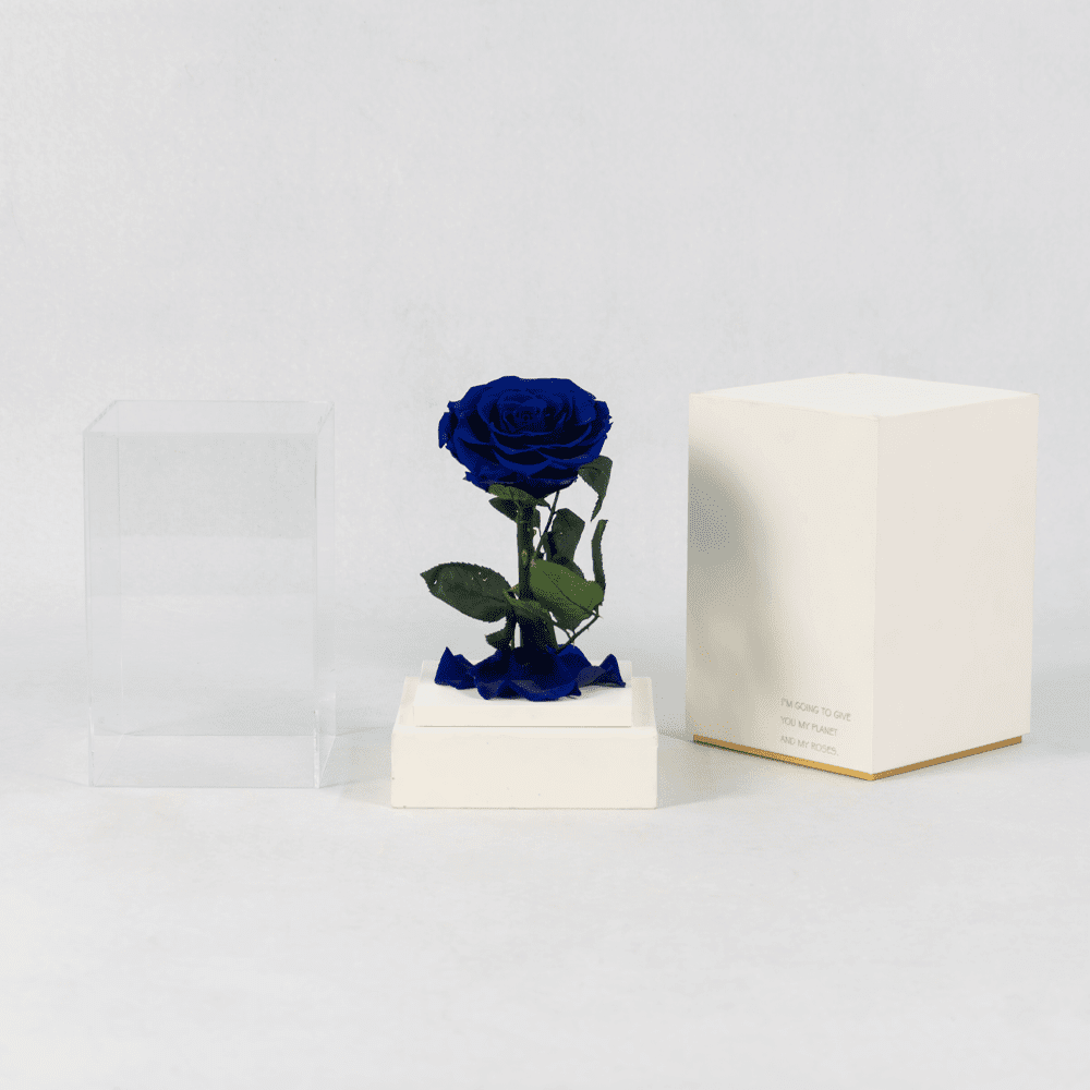 Bluebird's Melody - Preserved Rose Bluebird's Melody - Preserved Rose : Explore Preserved Roses in Bangalore | Order Now at June Flowers