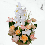 Cymbidium Glow (2)