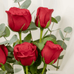 Elegant Red Roses1