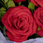 Scarlet Romance – 10 Red Roses Bouquet2
