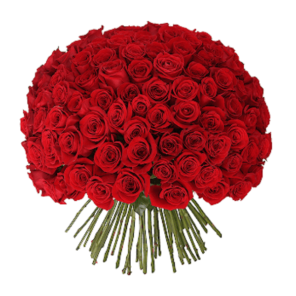 100 Red Roses with Hand Tied Bouquet 100 Rose Hand Tied Bouquet | Bouquet Birthday Delivery in Bangalore | Order Now at JF