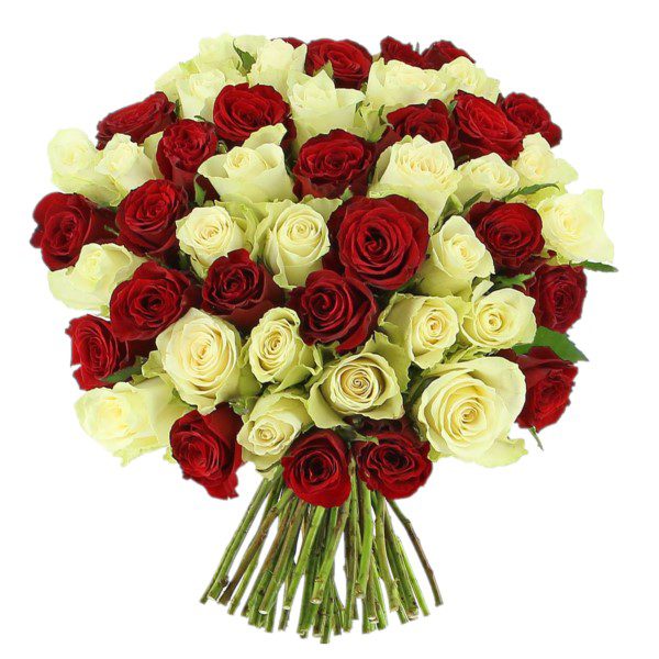 50 Red and White Roses with Hand Tied Bouquet Send flowers to Delhi online | Rose Bouquet Delivery in India | Order Now at JF