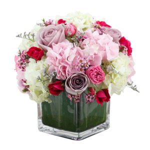 Roses and Hydrangeas in Bangalore | send a bouquet of flowers in bangalore | Order Now at JF
