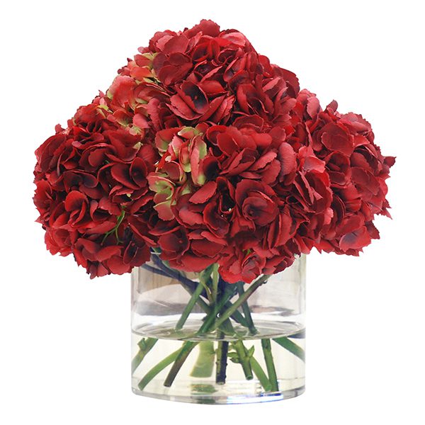Red Hydrangea in Cylinder Vase Hydrangea in Cylinder Vase| Online flower for anniversary bouquet Delivery in India | JF
