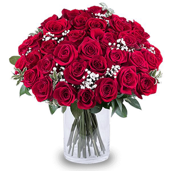 Romance of Red Roses with Vase Red Rose with Vase | Online Flowers Delivery in India | Order now JF
