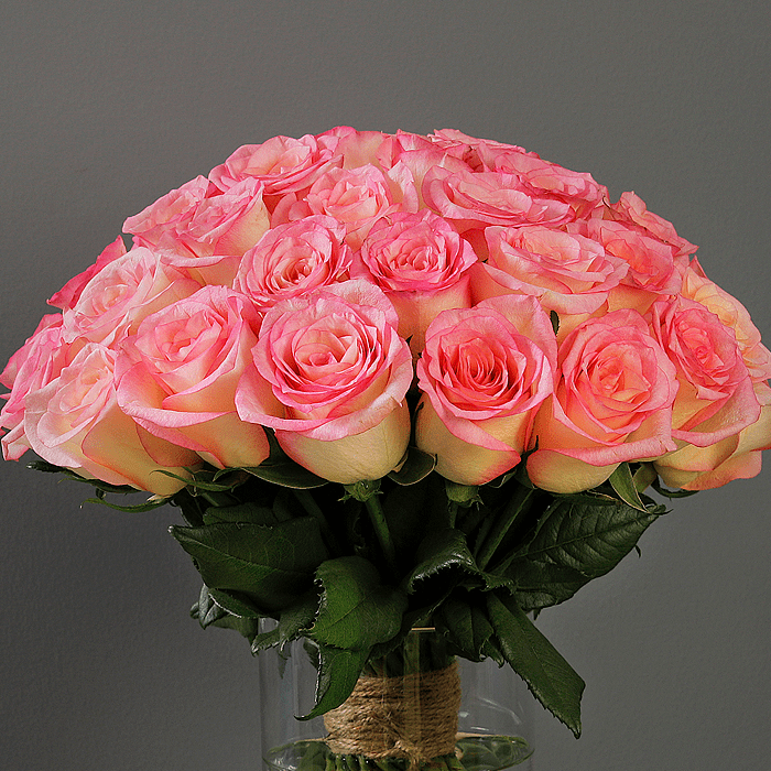 Rose Princess pink rose in glass vase