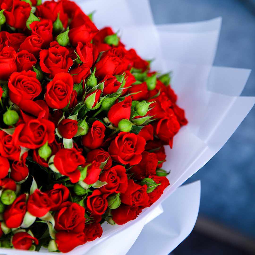 Captivating Red Bouquet Captivating Red Bouquet - Send/Buy Flowers Online | June flowers
